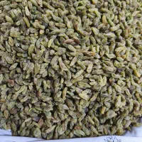 کشمش آفتابی خانگی