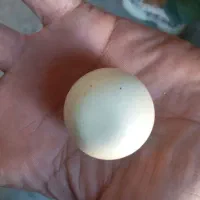 سنگهای قیمتی بسیار مناسب می باشند|کلکسیون اشیاء عتیقه|علیآباد کتول, |دیوار