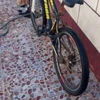 دوچرخه، ۲۴|دوچرخه، اسکیت، اسکوتر|خرمشهر, |دیوار