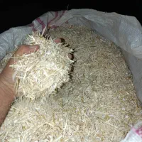 کاه لوبیا|حیوانات مزرعه|الیگودرز, |دیوار