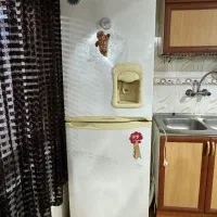 یخچال فریزر مارک روشن