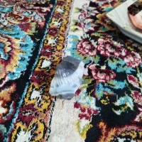 عقیق سلیمانی دودی|کلکسیون اشیاء عتیقه|ملک‌آباد, |دیوار