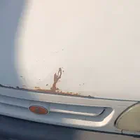 پراید صبا ۸۸ فروشی|خودرو سواری و وانت|ماهدشت, |دیوار