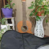 گیتار اموزشی