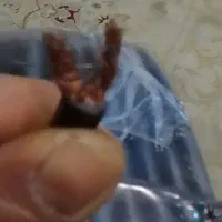 کابل 2×4 تعداد 3عدد کابل 2×6 تعداد1عددکلاف کامل|ابزارآلات|صفادشت, |دیوار