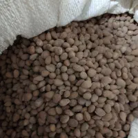 گدگ و هیره|خوردنی و آشامیدنی|سراوان, |دیوار