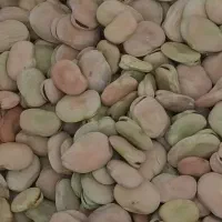 باقالی درجه ۱ بذری