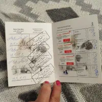 گربه فروشی|گربه|اردبیل, |دیوار