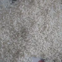 برنج محلی سالم|خوردنی و آشامیدنی|دورود, |دیوار