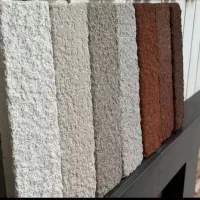 اسکراچ نما ، پیریکات