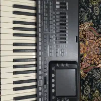 ارگ pa3x شیش اکتاو|پیانو، کیبورد، آکاردئون|بوکان, |دیوار