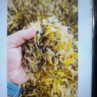 فروش علوفه چین یک