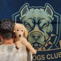 دوبرمن مشکی روتوایلر آمریکن گلدن نر 3 ماهه