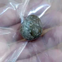 مهره سلطانی