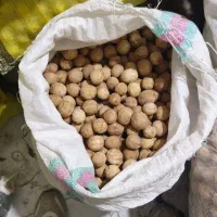 لیمو اسلایس مغز