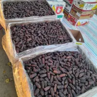 خرمای پیارم درجه یک