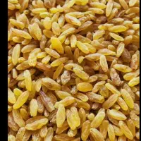 کشمش افتابی،سبز،زرد|خوردنی و آشامیدنی|کاشمر, |دیوار