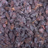 حراج مویزگوشتی درجه یک|خوردنی و آشامیدنی|شیراز, شهرک ترکان|دیوار