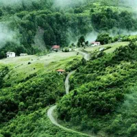 پارتنر دوچرخه سواری حرفه ای