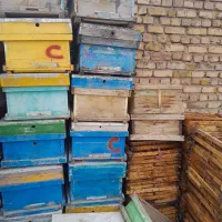 فروش کندو خالی