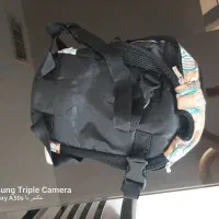 کولی برای سگ کوچک ودو تا قلاده