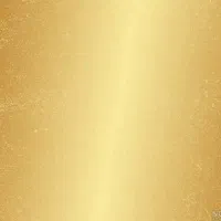 کیف به همراه طلا پیدا شده