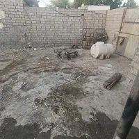 فازیک پادادشهر بین غفار۲و۳|فروش زمین و ملک کلنگی|اهواز, کوی طلاب|دیوار