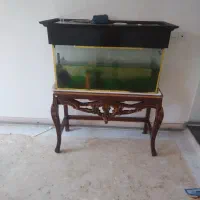 اکواریوم