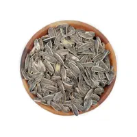 تخمه s400 درجه 1 پنیری، پیازجعفری ،سس رنچ
