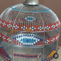 سهره قناری