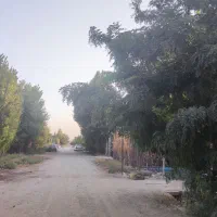 220متر زمین مناسب باغچه پیشک1