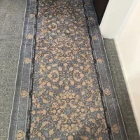 پادری نو نو