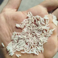 فروش برنج رستورانی درجه یک