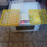 دستگاه جوجه کشیی عدد