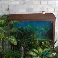 اکورایوم کامل و آماده استفاده با تجهیزات