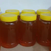 فروش مقدار محدودی عسل با کیفت عالی