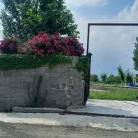 زمین کلشتر