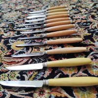 کارد میوه خوری|ظروف سرو و پذیرایی|تهران, بهداشت|دیوار