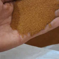 خاکشیر