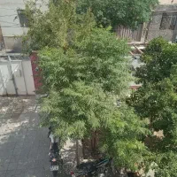خانه پارادیس