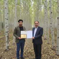 نـهـال صنـوبـر با رشد تضمینشده و پایدار