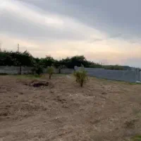 فروش-زمین250متری-خوش-قواره-کوچه-آسفالت-دربابلکنار