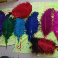 علامت و پررنگی