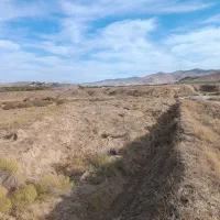 زمین کشاورزی پشت شهرک صنعتی