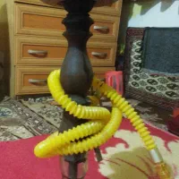 ۲ تا قیلیان فقط ۵۰۰ هزار تومن