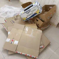 کارتن