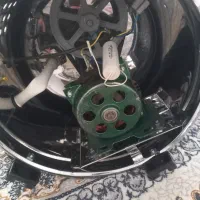 مشک برقی درحد نوه
