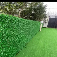 کارشناس اجرایی دبیرستان دوره۱ دخترانه