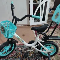 دوچرخه ۱۲ بچه گانه