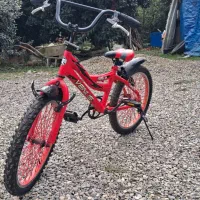 دوچرخه سایز ۲۰ venus قرمز مات|دوچرخه، اسکیت، اسکوتر|تالش, طولارود|دیوار